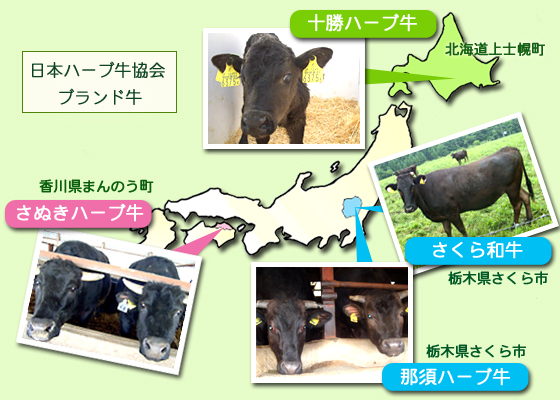 日本ハーブ牛協会　ブランド牛の紹介